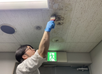 カビ取り